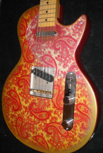 Pink Paisley Lesquire